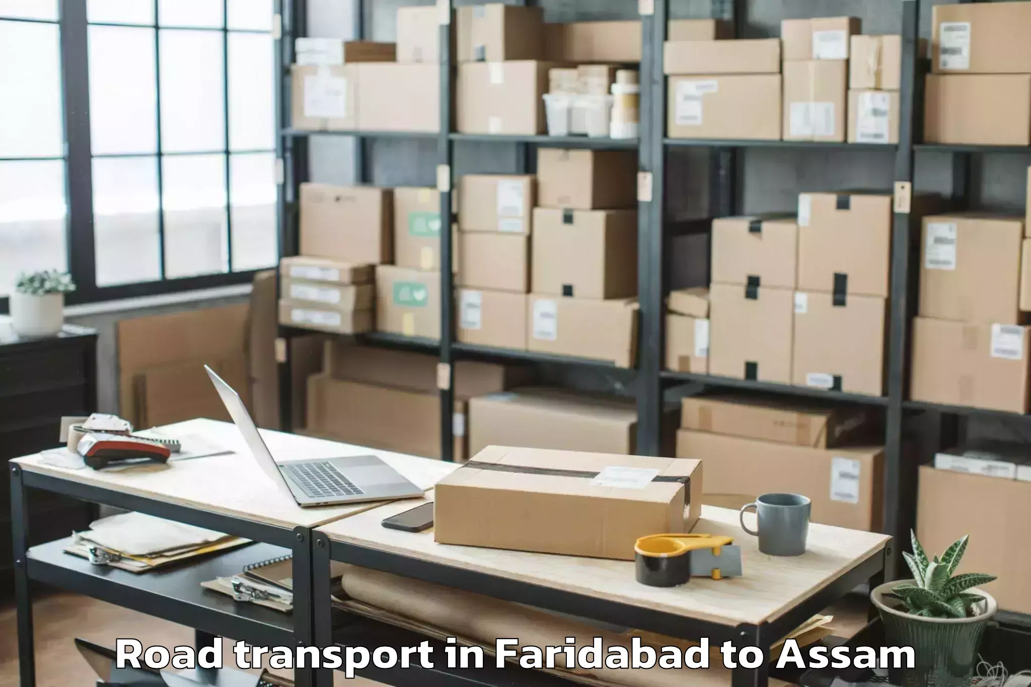 Comprehensive Faridabad to Sarthebari Road Transport